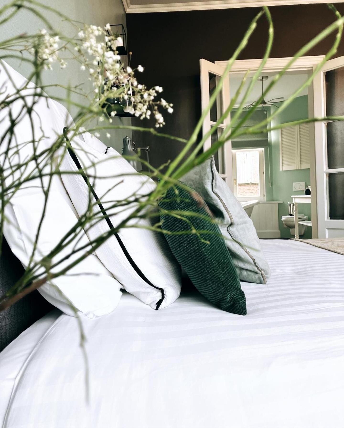 Domus Portus Bed & Breakfast Dendermonde Bagian luar foto